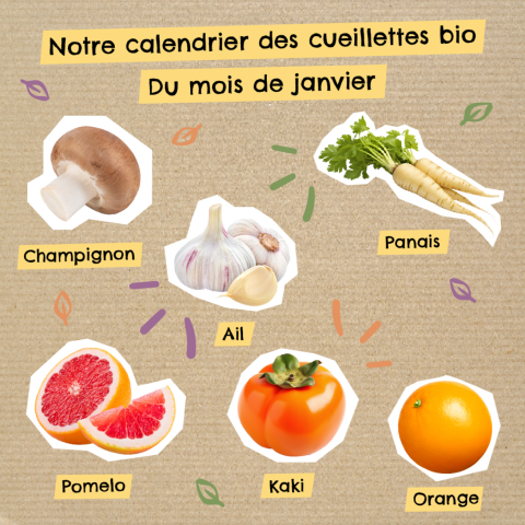 Capture d’écran 2023-03-18 à 11.53 1